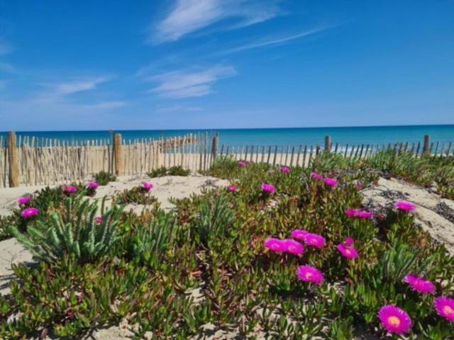 Confortable Studio Cabine - Acces Plage- Vue Mer 4Tvp38 Le Barcares Bagian luar foto